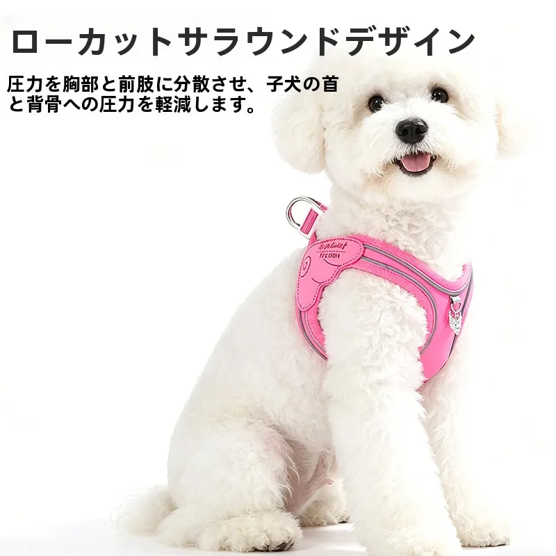 小型犬のリード選びで迷うなら、これひとつで解決できる？