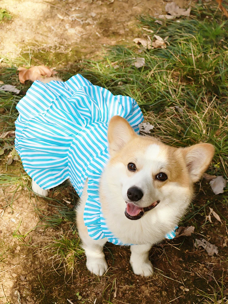 犬用春夏タンクトップ：防晒・毛抜け防止・リード対応のプリンセスドレス