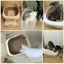 抗菌脱臭機能付き猫用トイレ【ダブルレイヤー・ハーフクローズドデザイン・大サイズ】