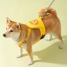大型犬用 胸部ハーネス付きリード【金毛・ラブラドール専用・衝撃防止設計】