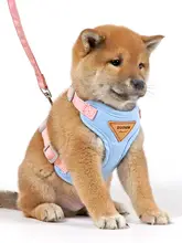 小型犬用 調整可能なハーネス付きリード【犬用・ティディ・散歩用】
