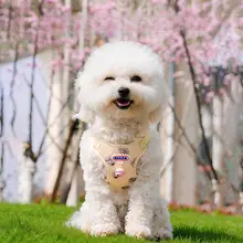 小型犬用 ハーネス付きリード【胸掛け式・ペット用・お散歩対応】
