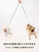 調整可能な超ロング犬用リード【中型犬・小型犬・1対2仕様】