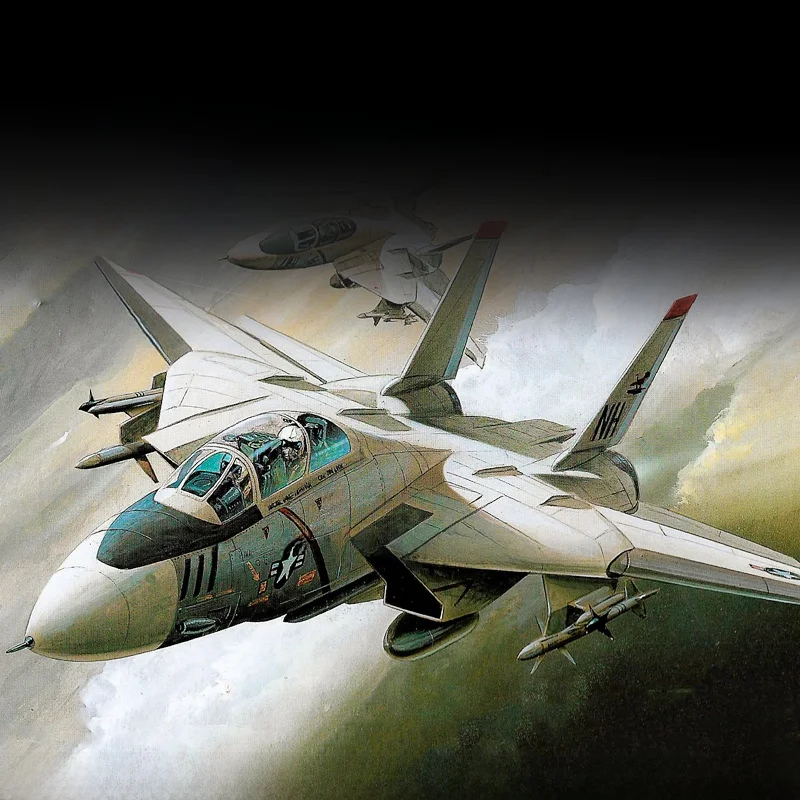 戦闘機 プラモデルを選ぶべきタイミングは？F-14 パンダモデルがもたらす、日常の静けさとワクワクをどう感じるか