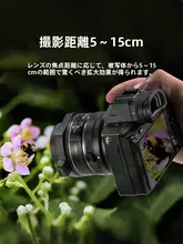 NEEWER マクロレンズ【近接撮影対応・植物や昆虫の高精細なクローズアップ用・一眼レフ・ミラーレスカメラ対応】