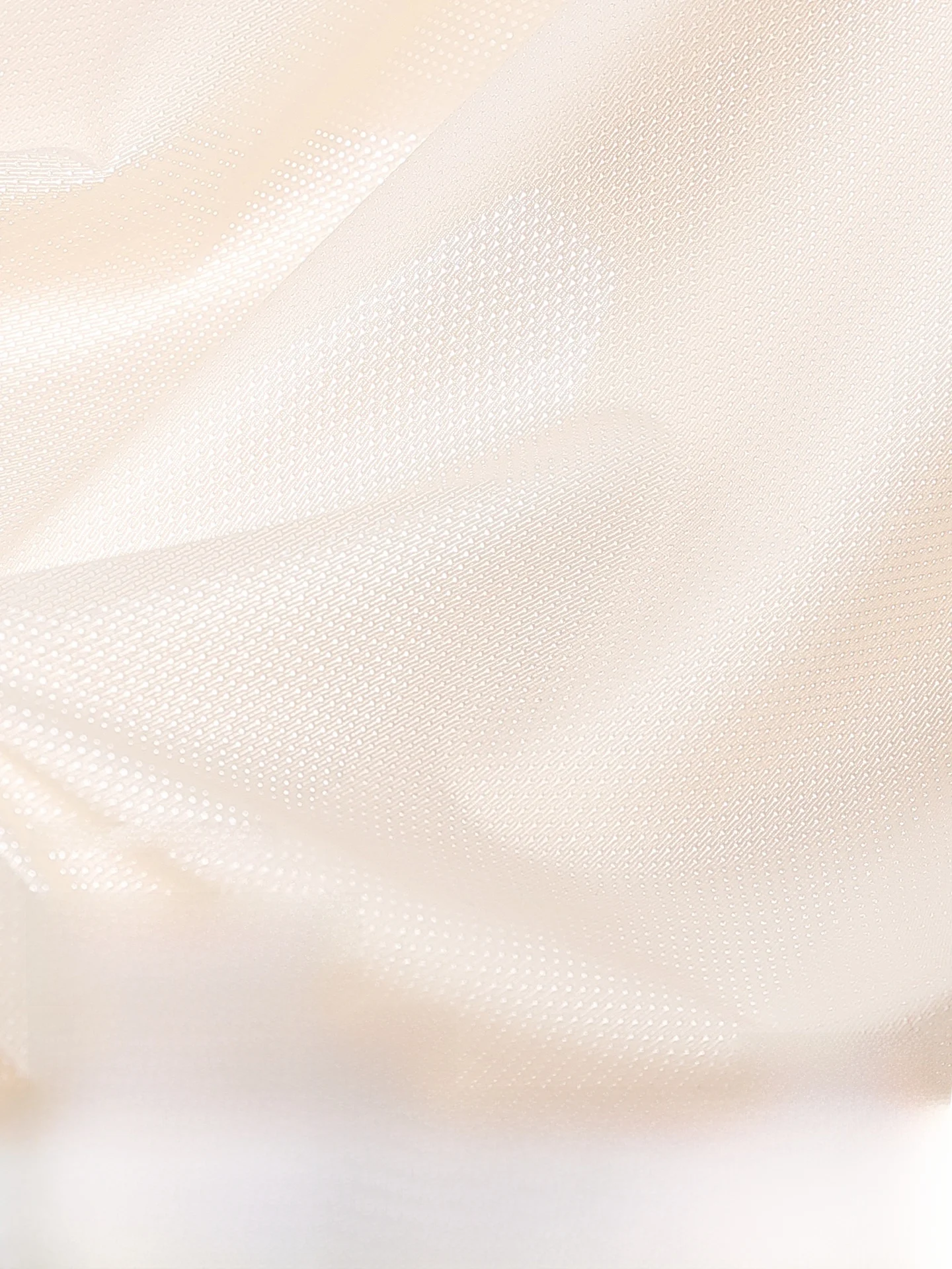 汗をかいても臭わない服：軽量で涼感のある抗菌素材ショーツの実用性と選定基準