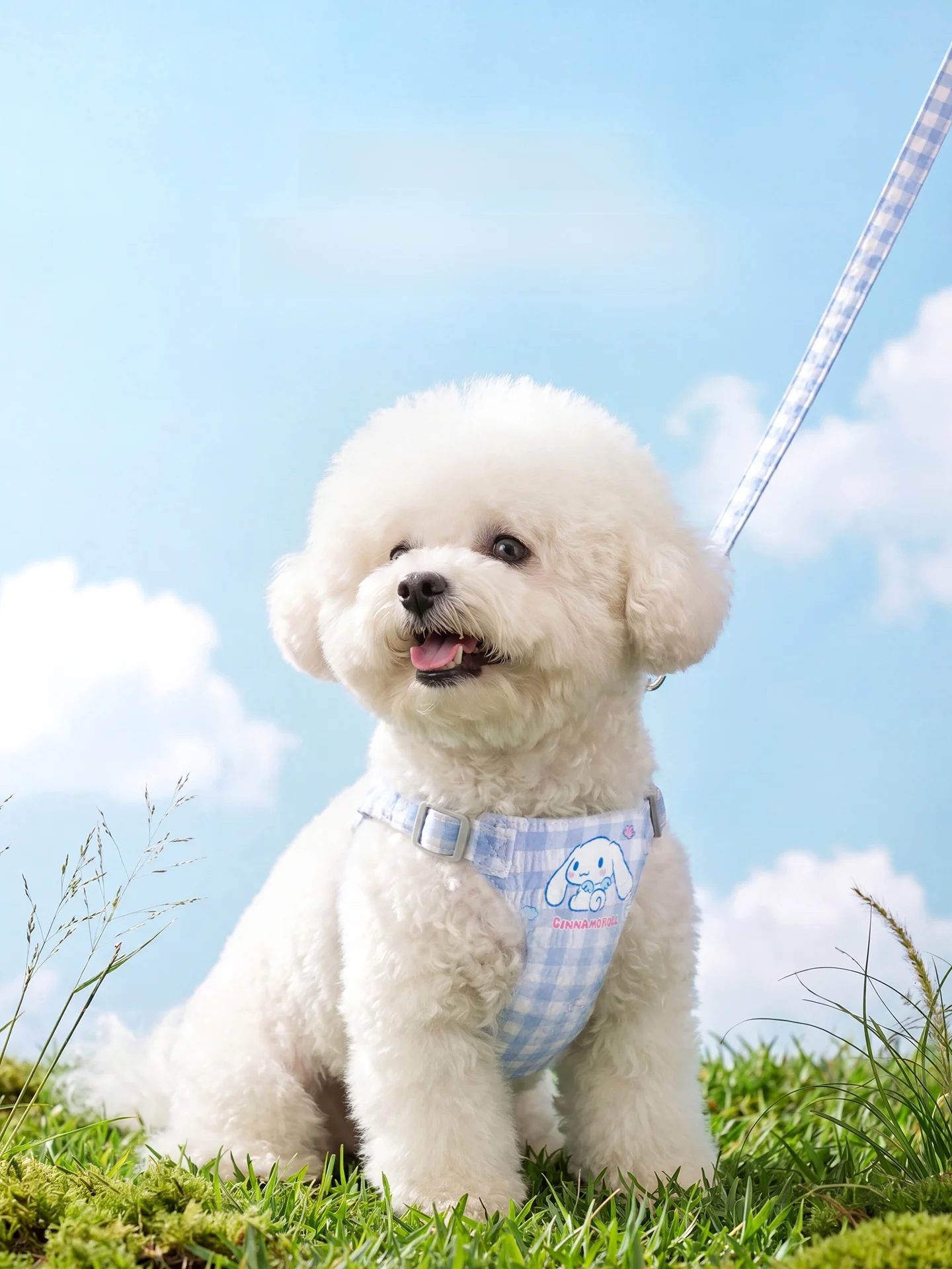 hipidog ハーネスタイプの牽引ロープ：小型犬用の通気性と伸縮性を実証