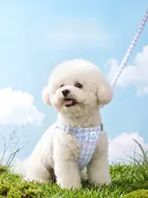 hipidog ハーネスタイプの犬用牽引ロープ【小型犬用・テディ・ビション・ポメラニアン・幼犬対応】