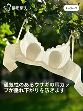 フレンチレースデザインのバストアップブラ【防下垂・ウサギ耳カップ・大きいサイズ対応】