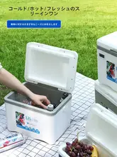 車載用ミニ冷蔵庫【携帯型・アウトドア用・保温機能付き】