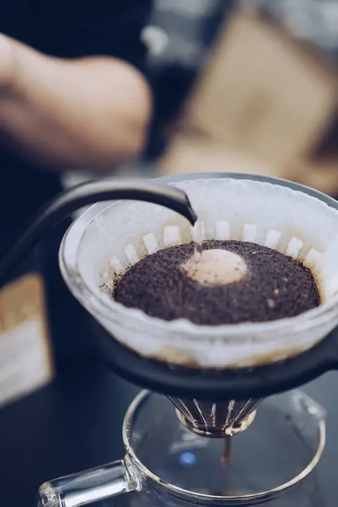 TIMEMORE 樹脂製 V60ドリッパー【急速抽出・家庭用・フィルター付き】