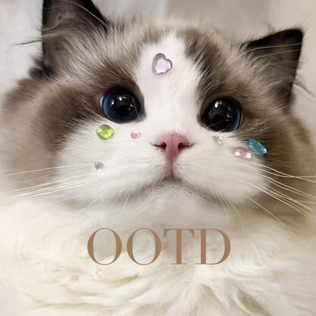 猫 モチーフ ブランド で人気のステッカー：VOAの3Dクリスタルデザインを実際の使用で検証