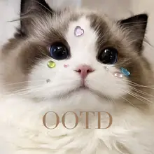 猫 ステッカー 犬 クリスタルステッカー ペット 誕生日 装飾 3D 立体