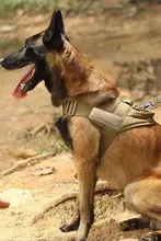 調整可能な犬用ハーネスリード【防爆デザイン・背心スタイル・大型犬対応】
