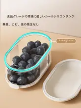 調味料収納ボックス【家用・密封容器・花椒用】