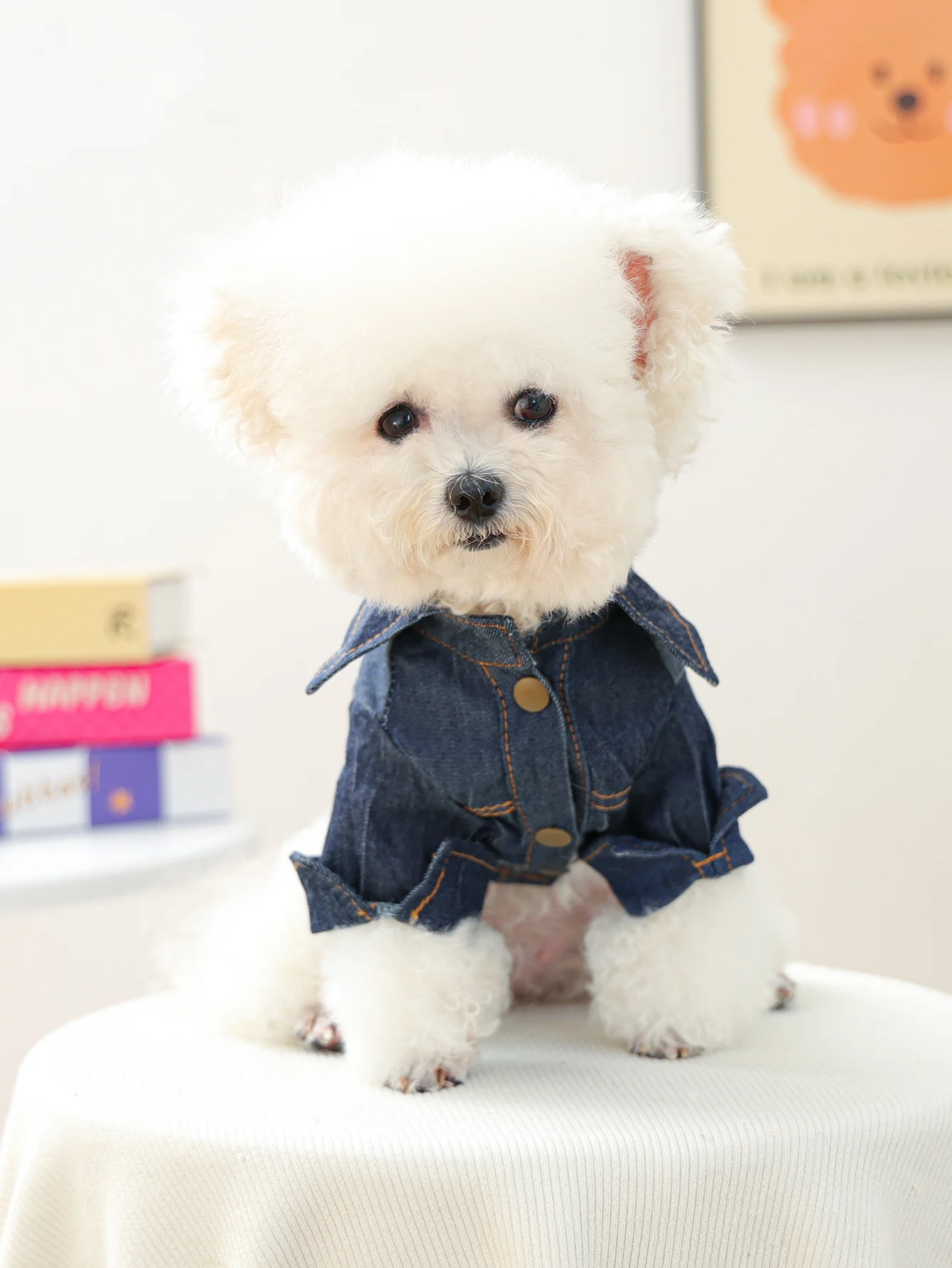 春秋用おしゃれなデニムシャツ：ペットブランドPETCIRCLEの小型犬向けトレンドアイテム