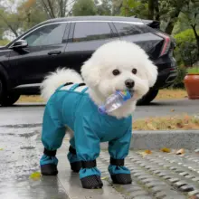 中小型犬用防水ペットウェア【汚れ防止・四足タイプ・お散歩用】