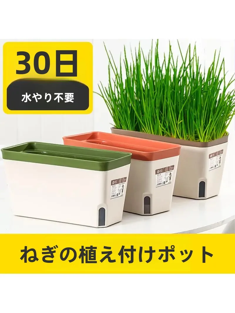 日陰でも育つ植物を育てるなら、このプランターが一番おすすめ？