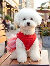 春夏用犬服【赤いプリンセスデザイン・ふんわりスカート・小型犬用】