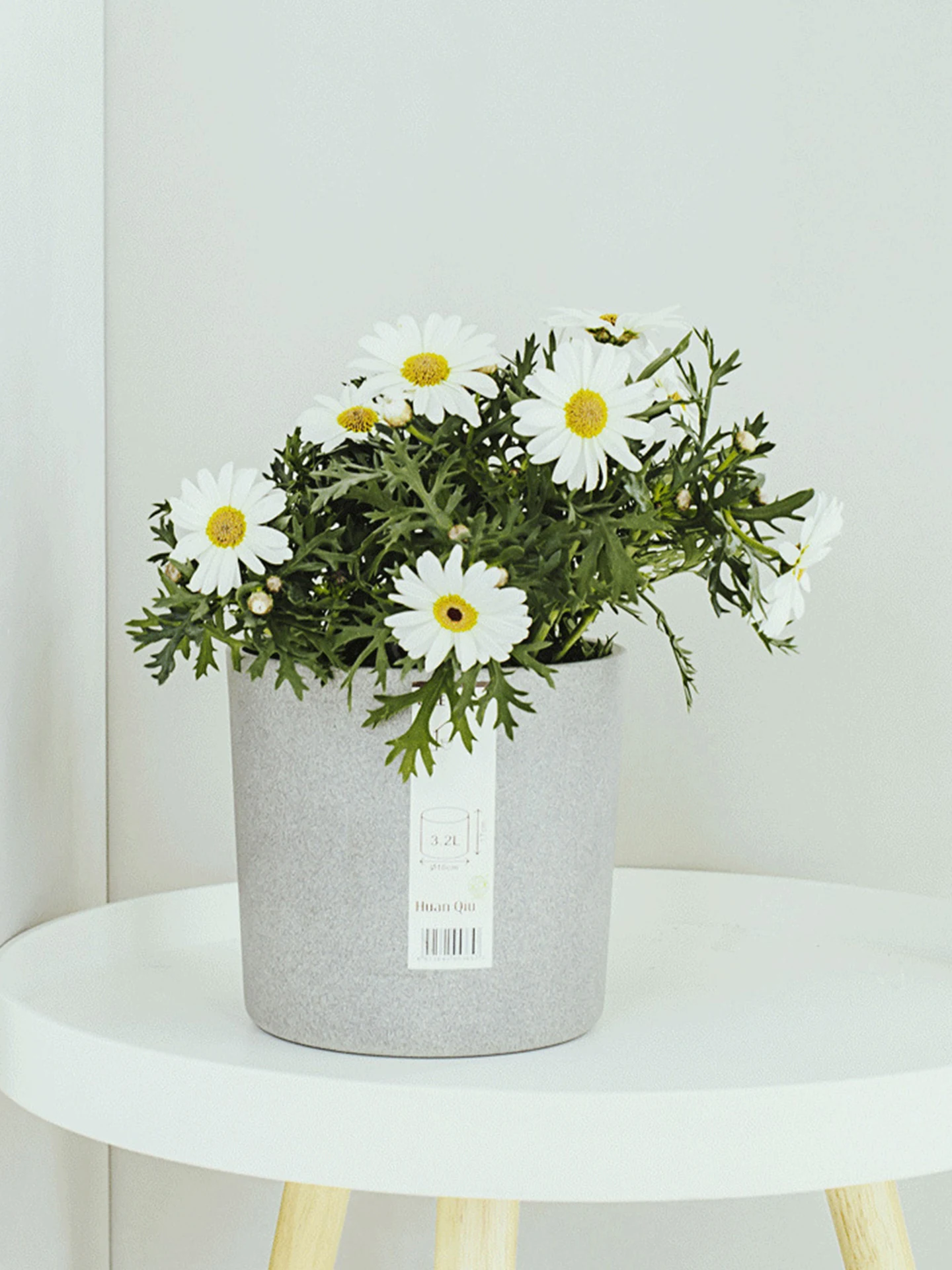 3号ポットと4号ポットの違い：陶器製プラスチック植木鉢のサイズ・用途・価格比較