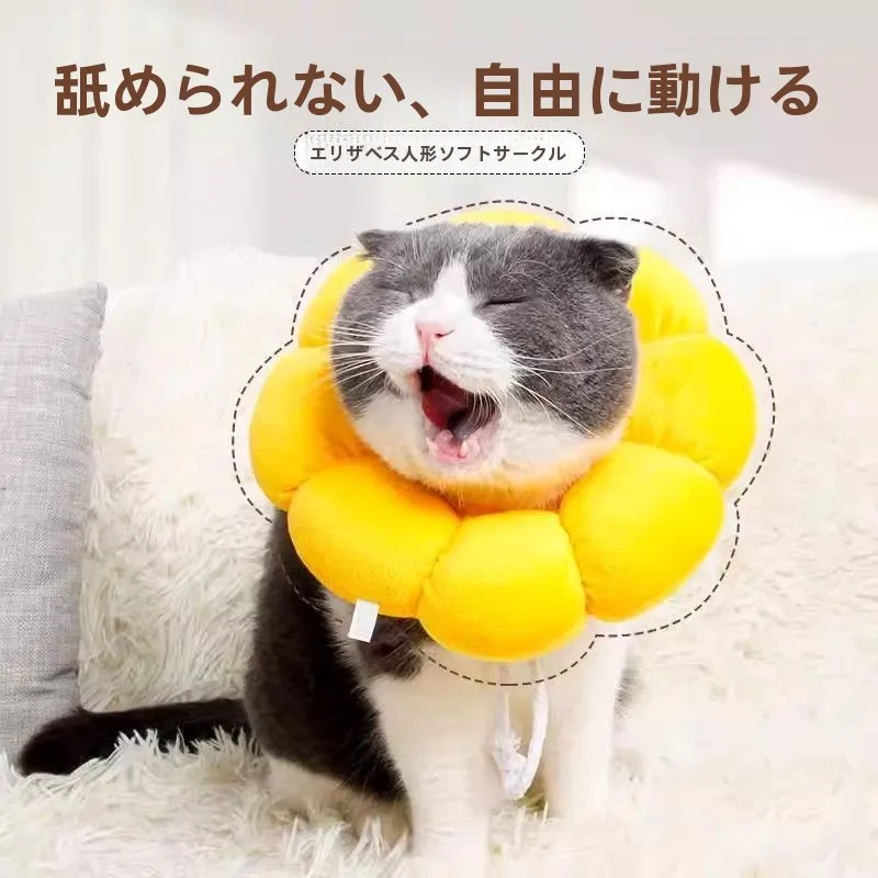 猫飼いが買ってよかったもの・悪かったもの正直に言う 調整可能なブルーとホワイトのエリザベスカラー