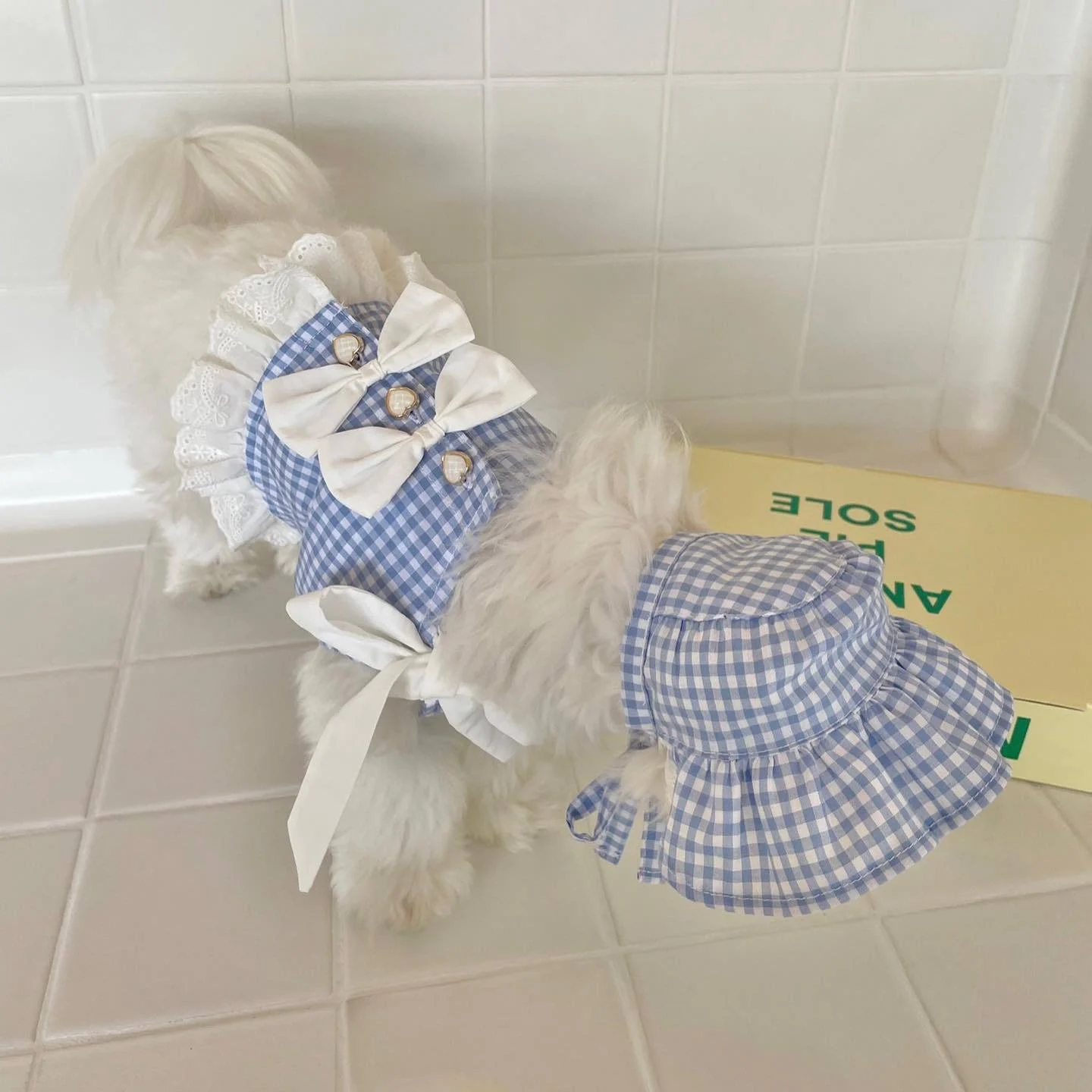 ちびぐるみの服はなぜ、私たちの心を癒すのか？