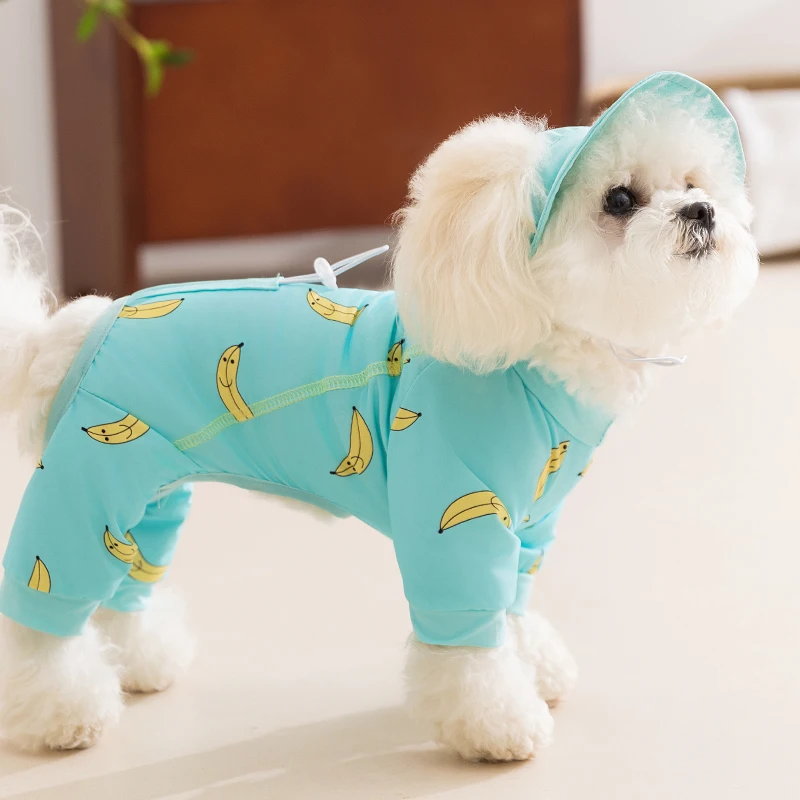 犬のお散歩グッズをコスパ良く揃える方法　徹底解説・実測で失敗しない選び方