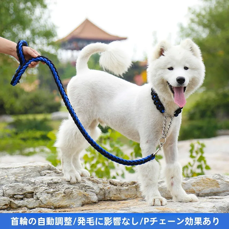 犬のお散歩グッズをコスパ良く揃える方法　自動調節リードで成長に合わせて使い続ける