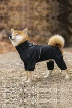 犬用レインコート【中型・大型犬用・防水・軽量・夏用】