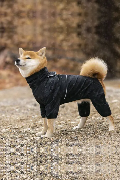 犬用レインコート【中型・大型犬用・防水・軽量・夏用】