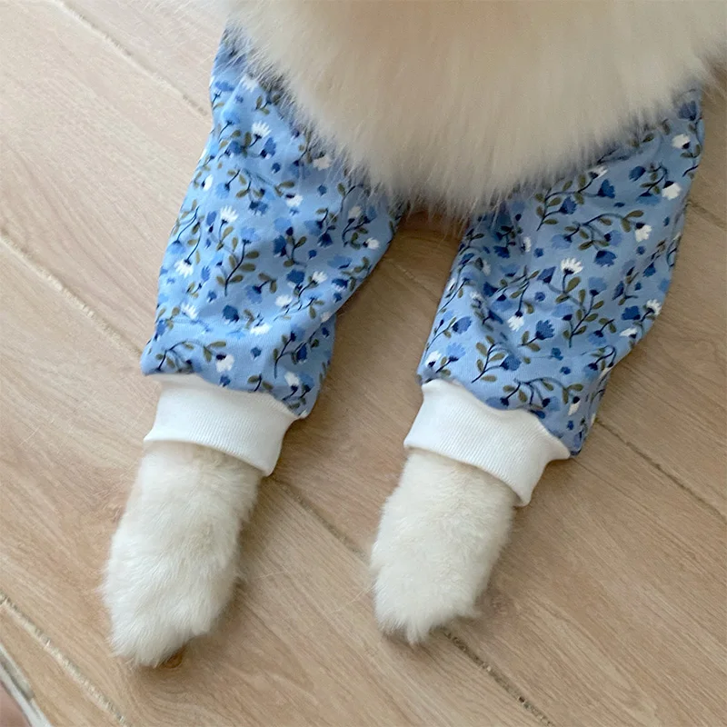 犬用関節保護膝当て：中型犬向けの夏季用関節サポートマット