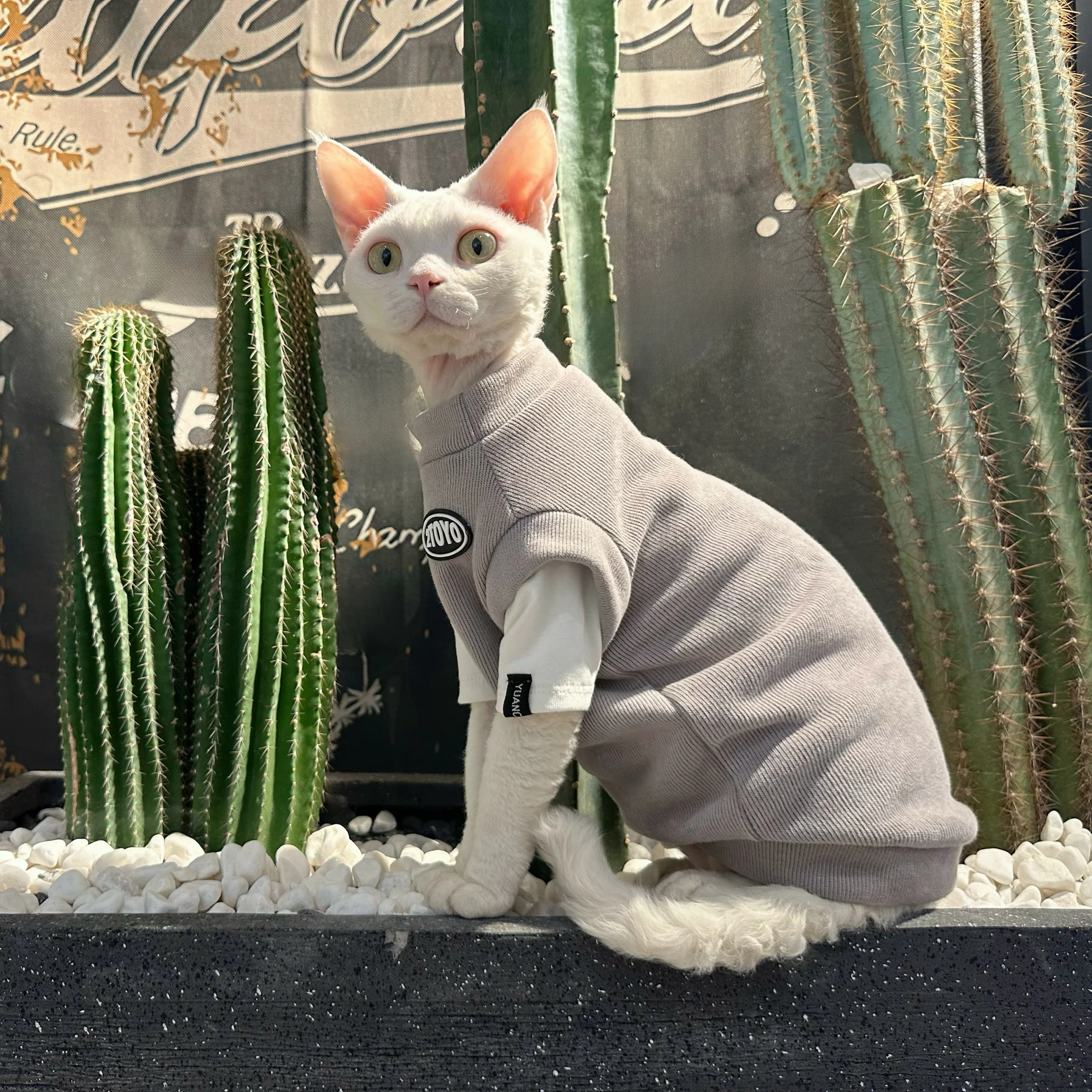 猫飼いが買ってよかったもの・悪かったもの正直に言う｜冬用加厚長袖シャツの実測ガイド
