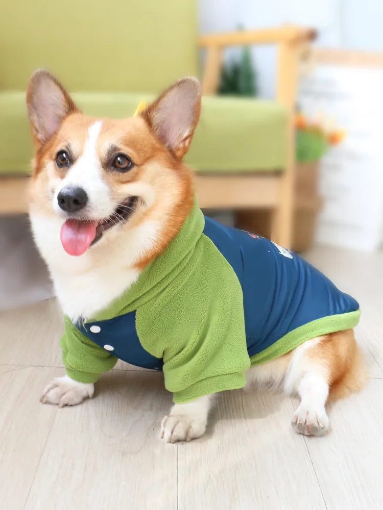 寒さに弱い犬に着せるべき「保温・可愛い・厚手」の冬服は？