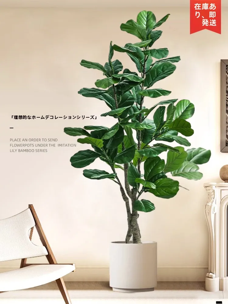 梅雨に備えて買うべき！完全ガイド：観葉植物・歯ブラシホルダー・コーヒーカップの実用性と美しさ