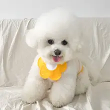 ペット用 おしゃれな防水スカーフ【小型犬・猫用・かわいいデザイン】