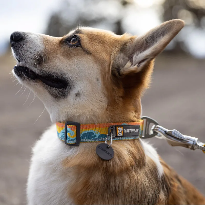 ラフウェア 犬用首輪＆リードセット：大型・中型・小型犬向けの耐久性と実用性を徹底検証
