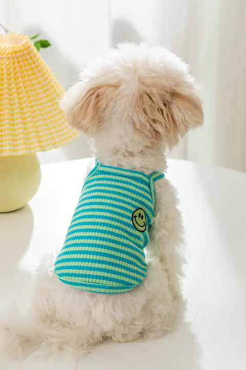 hipidog 小型犬用 夏用服【笑顔プリント・カラフルストライプ・吊り付き】