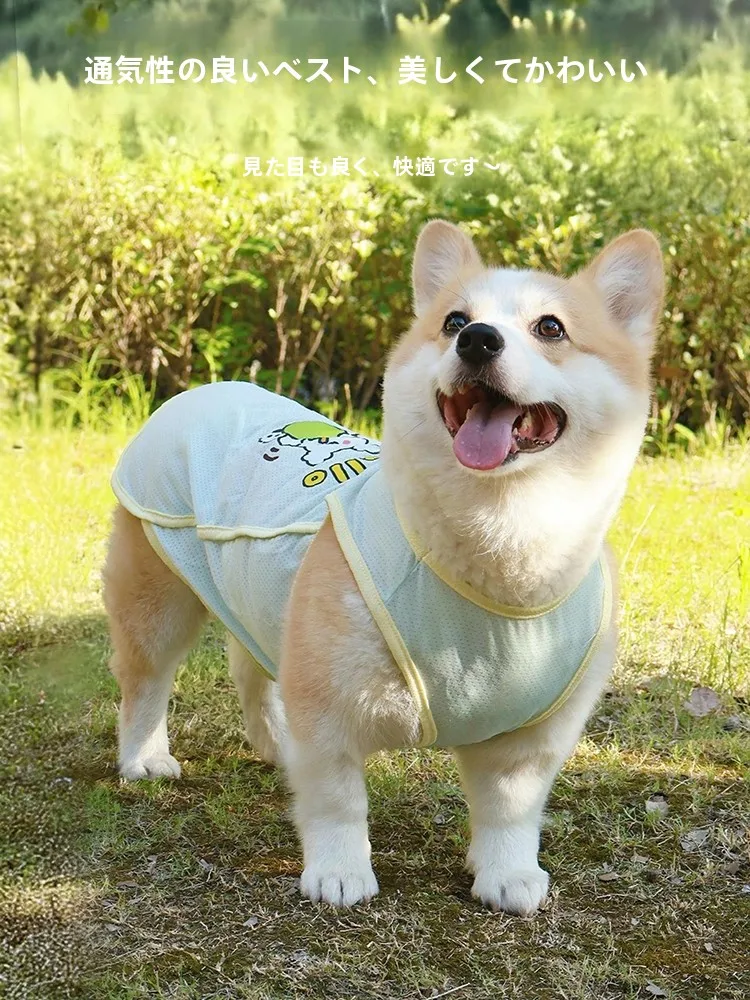 犬用夏用防紫外線ベスト：通気性と抜け毛防止の実用性を検証