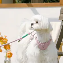 犬用ハーネス型リード【中小型犬用・快適な装着感】
