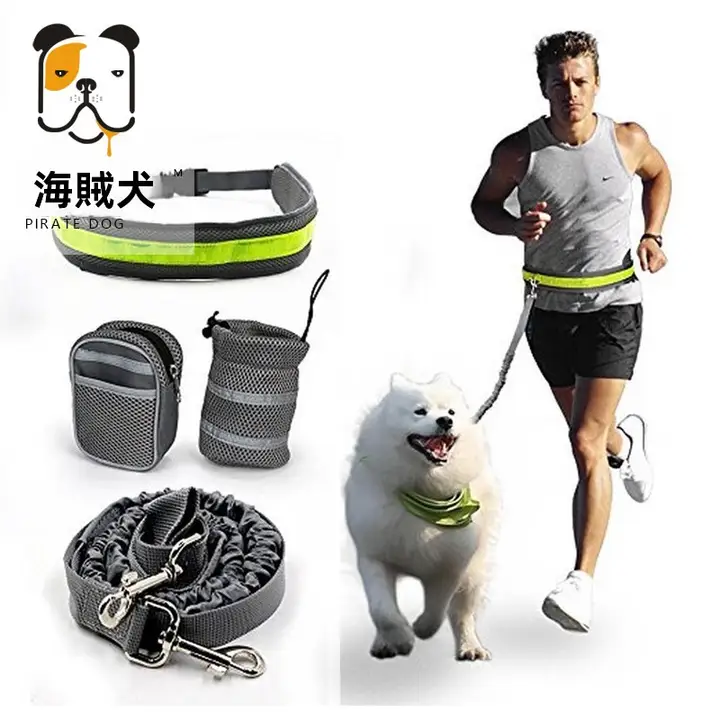 中型犬・大型犬用 散歩トレーニングリードセット【胸部ハーネス・ランニング用・テディ＆ゴールデンレトリバー対応】