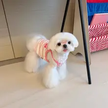 ペット用夏用タンクトップ【防晒・薄手・小型犬向け】（セットアップ対応）