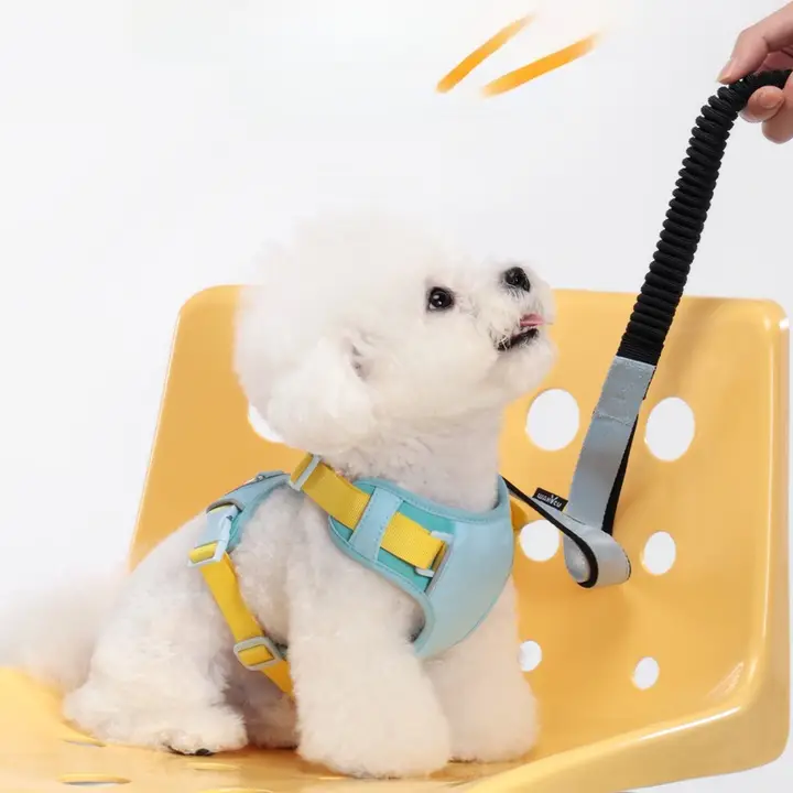 犬用ハーネス型リード【散歩用・中型犬・大型犬対応】
