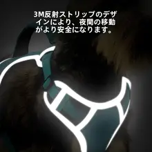 犬用ハーネスリード【テディ・ゴールデンレトリーバー対応・大型犬用】
