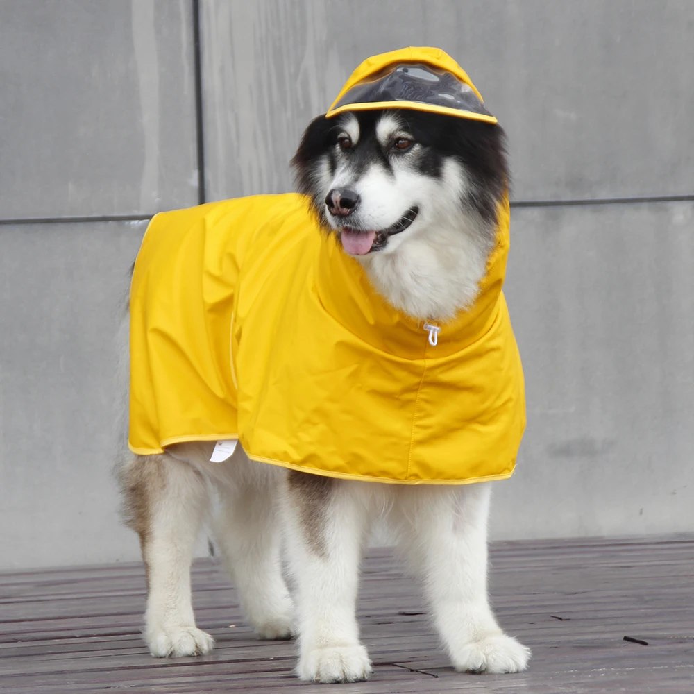 犬のお散歩グッズをコスパ良く揃える方法　大型犬向けレインコートの選び方徹底解説