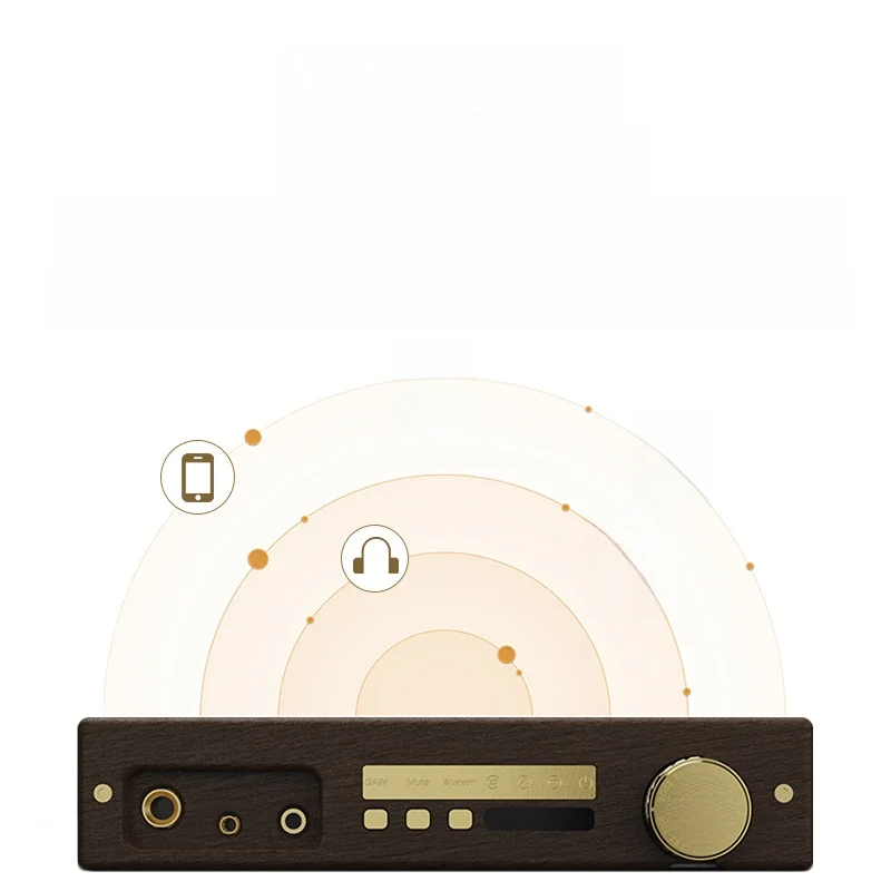audio codec と DSD デコーダーの違いは？耳に届く音質を再構築する「RT5000」の本質とは