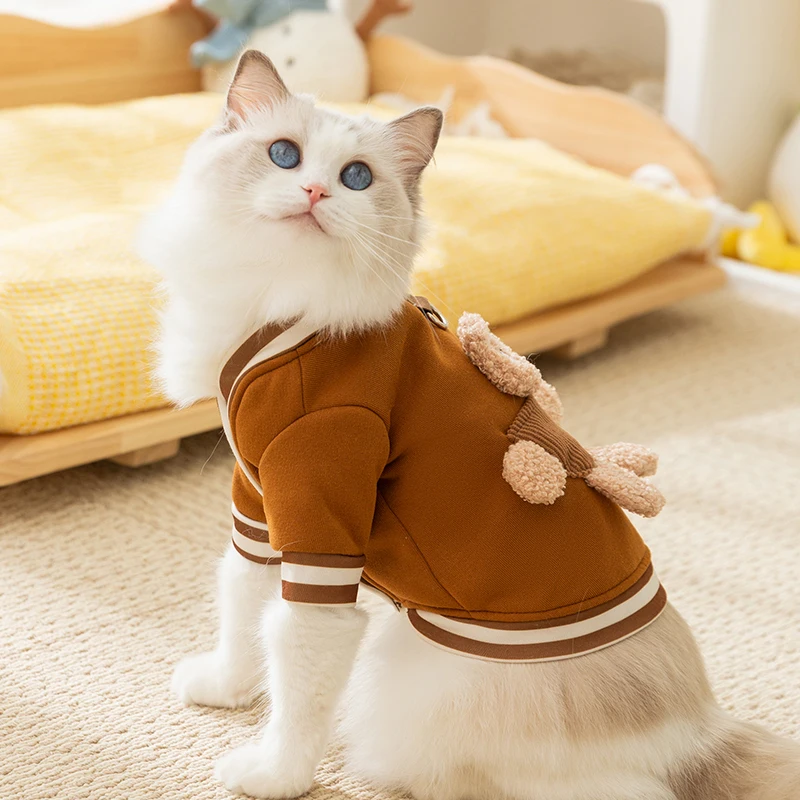 おしゃれな猫の服を選ぶには？厚手保温トレーナーが冬の暮らしを救う理由