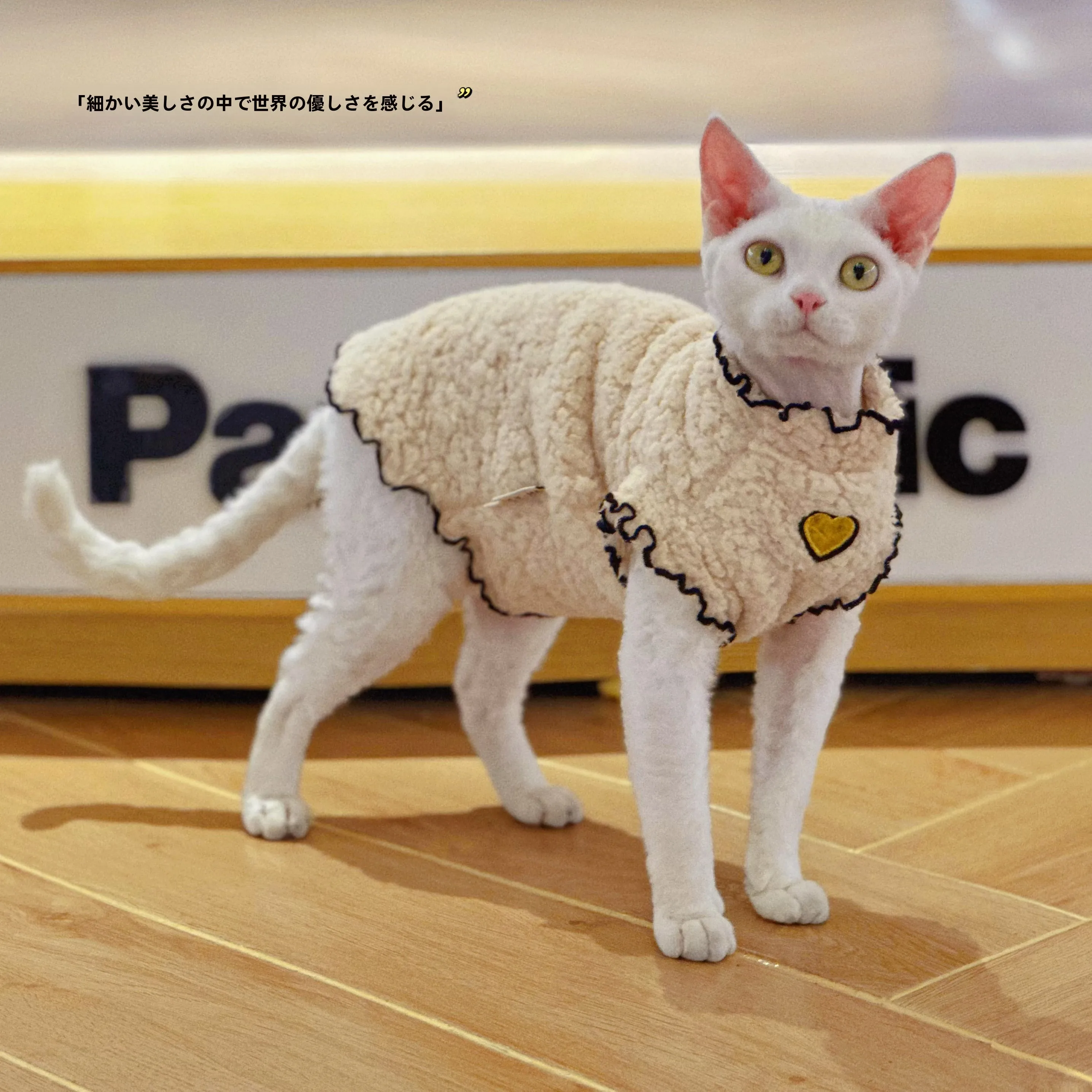 白いダニとは何か？スフィンクス猫用冬用ウェアの実際の特徴と使用シーン