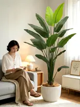 リアルな植物 大型フロアデコレーション 客間 ソファの横 高級ラグジュアリー