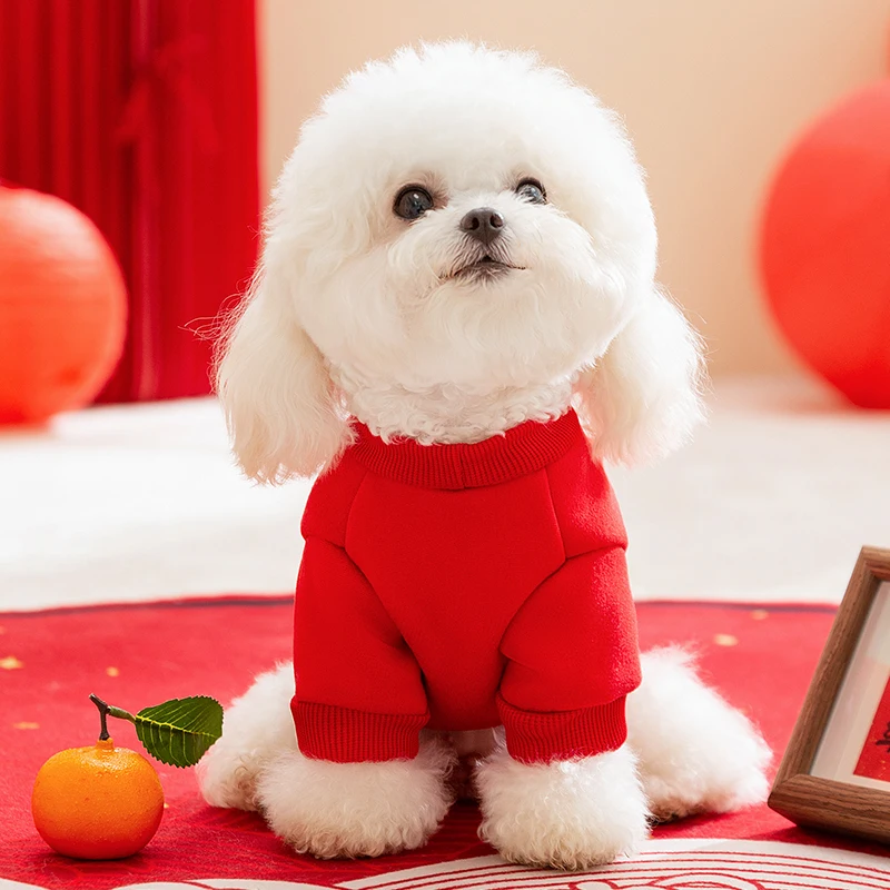 犬服ブランド一覧：hipidog/嬉皮狗のポケット付きダブルカラー犬服が提供する実用性とデザイン性