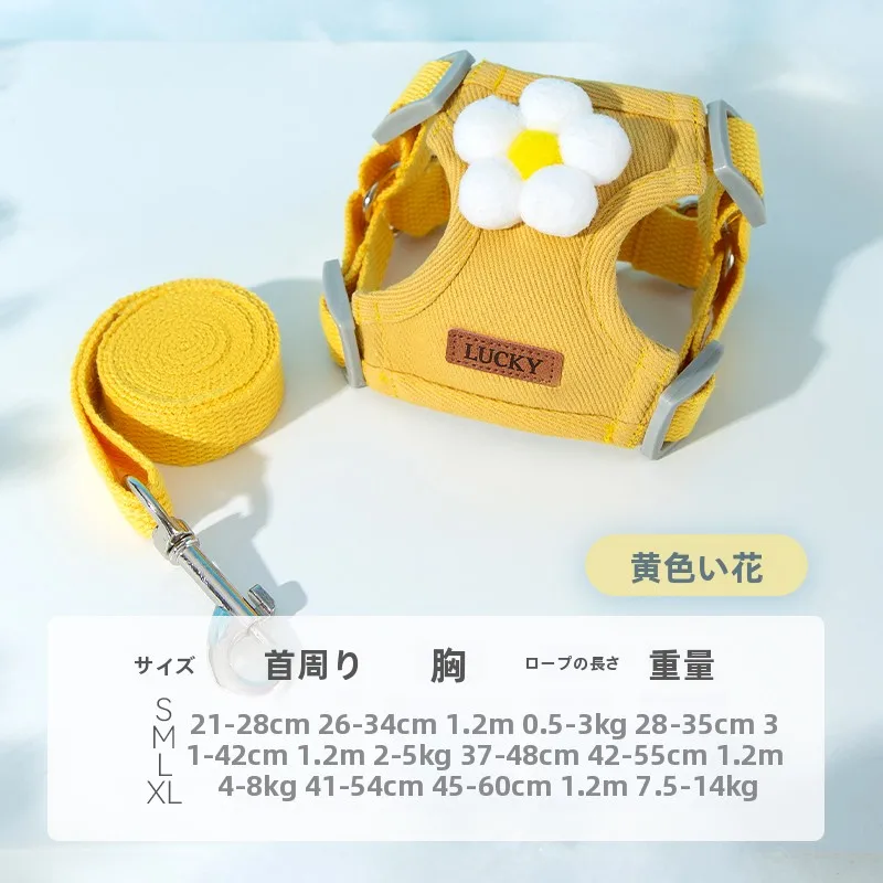 hipidog 小型犬用ハーネス型リード：テディベア・シュナウザー対応の軽量設計と通気性の実証